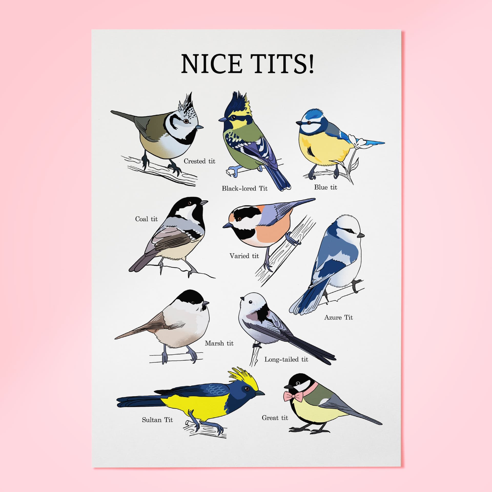 Nice tits! - פרינט A3