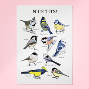 Nice tits! - פרינט A3